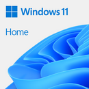 Microsoft Microsoft Windows 11 Home 64Bit Dsp