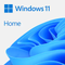 microsoft windows11 home esd